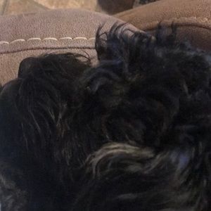 Meet your Posher, Jess